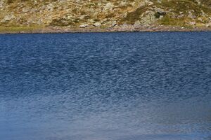 Eiskarsee obertal 01268 2015-09-11.jpg