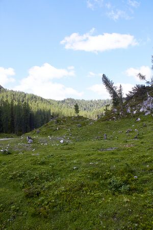 Große wiesmahd-0133-2022-06-12.jpg