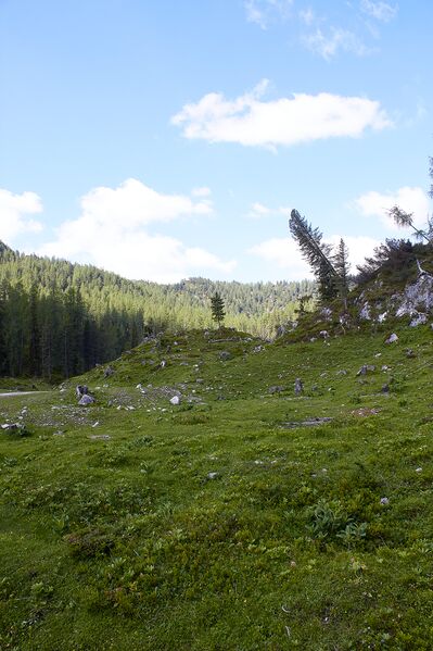 Datei:Große wiesmahd-0133-2022-06-12.jpg