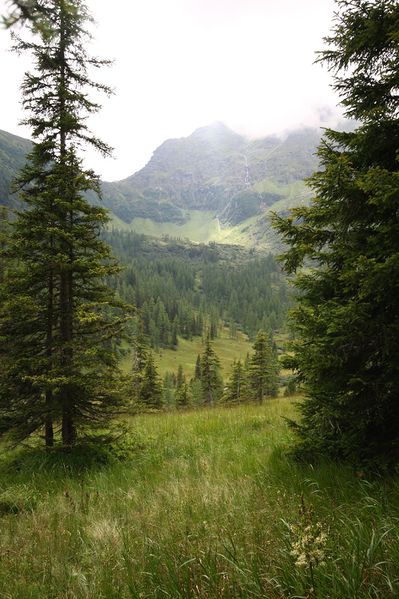 Datei:Knallkar großsölk 55623 2016-08-17.jpg