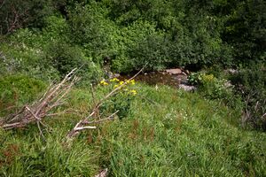 Mößnakarbach 0903 13-07-12.jpg