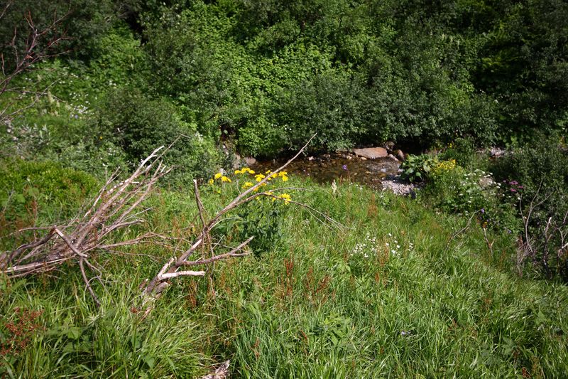 Datei:Mößnakarbach 0903 13-07-12.jpg