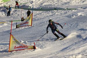 MURADA GIULIA ITA nr 7-0651-2024-03-02.jpg