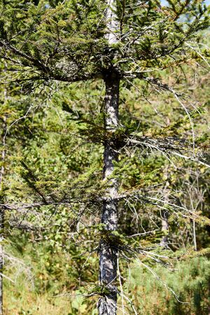 Moor Die Auen furt-0477-2023-09-29.jpg