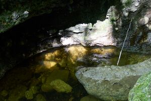 ND 356 Teichenbach Unterkainisch-0233-2025-05-01.jpg