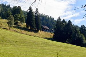 Riesner vlg rüssner michaelerberg Ost-0100-2023-08-14.jpg