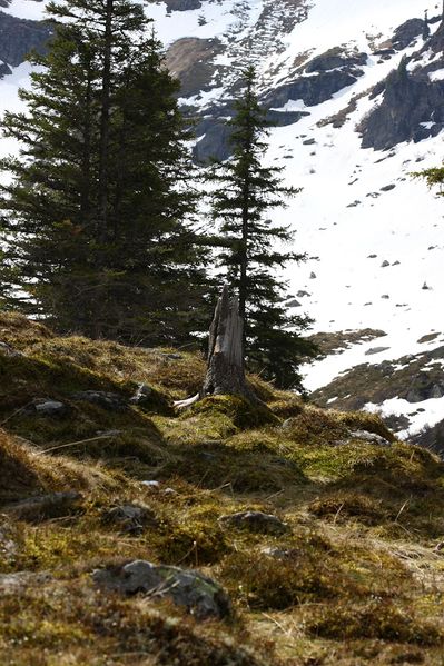 Datei:Strickerkar 55676 2014-05-02.jpg