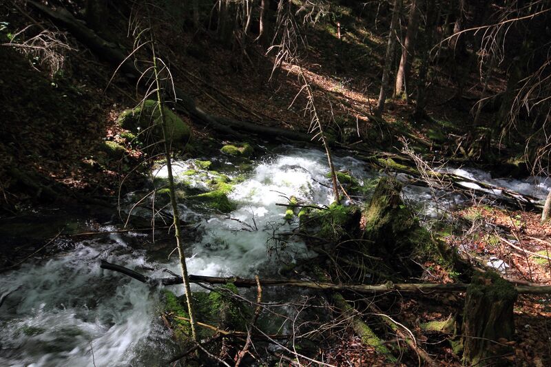 Datei:Strummern mühlreith 47247 2017-05-17.jpg