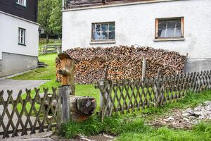 Tasererkeusche prenten-3103-2012-07-18.jpg