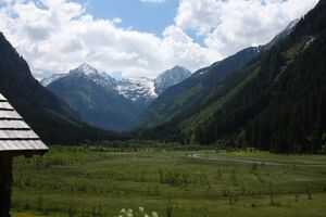 Tettermoor 2186 2009-05-29.jpg