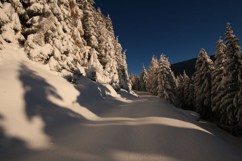 Datei:Zur ob.moseralm-preunegg 94329 2007-11-28.jpg