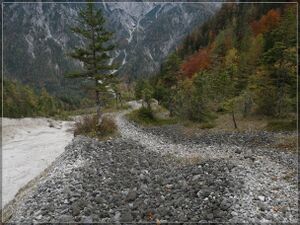 Bruckgraben ( 13.10.24 ) 076.jpg