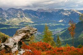 Guschen 20013 2007-09-28.jpg