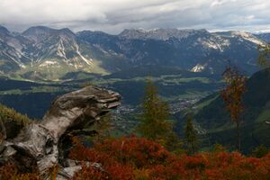 Guschen 20013 2007-09-28.jpg