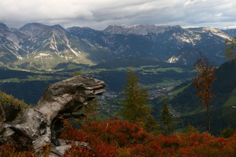 Datei:Guschen 20013 2007-09-28.jpg