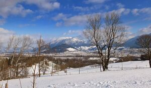 Hohe Trett,Ennstal.JPG