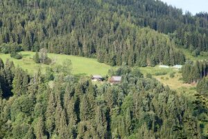 Kloiber schattenberg-0216-2023-08-25.jpg