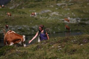 Oberer lanschitzsee 98095 2011-08-12.jpg