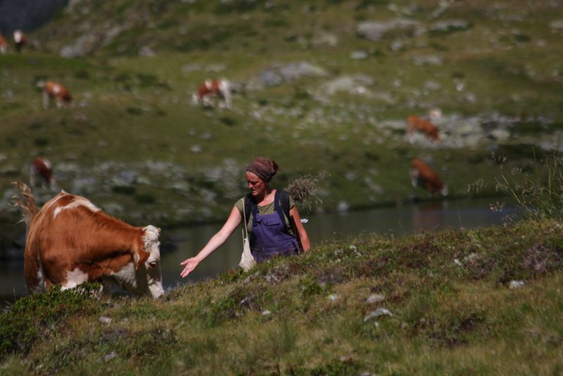 Datei:Oberer lanschitzsee 98095 2011-08-12.jpg