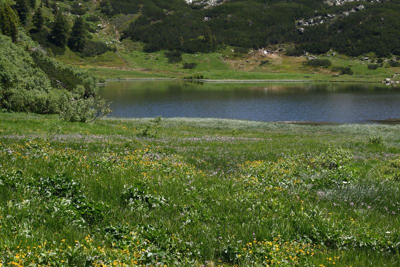 Datei:Plannersee 65266 2014-06-26.jpg