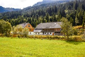 Schaupphof donnersbachwald-0192-2021-09-13.jpg