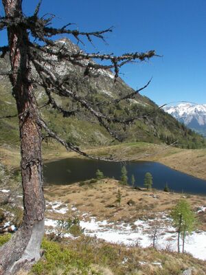 Schobersee 1368 2007-05-19.jpg