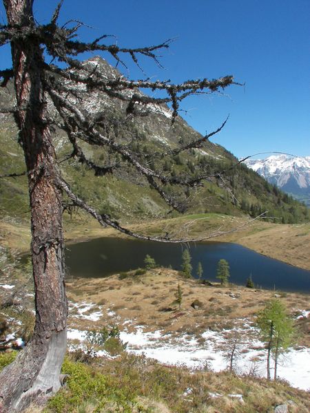 Datei:Schobersee 1368 2007-05-19.jpg