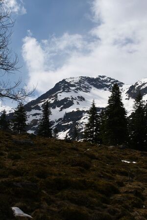 Strickerkar 55675 2014-05-02.jpg