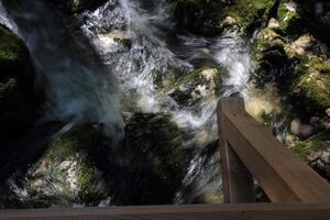 Strummern mühlreith 47265 2017-05-17.jpg