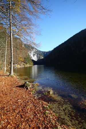 Toplitzsee 77756 2014-11-03.jpg