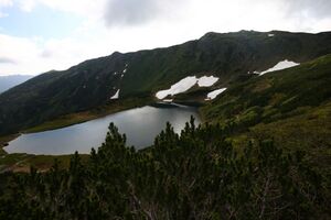 Untere riednersee 65410 2014-06-26.jpg