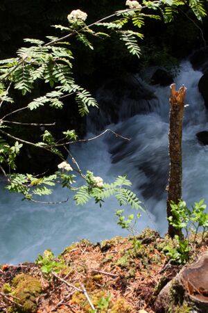 Untertalbach 2160 2009-05-29.jpg