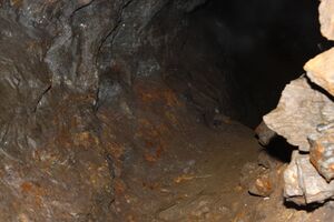 Zinkwandstollen 96007 2015-07-10.jpg