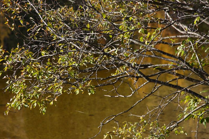 Datei:Ödensee 78048 2014-11-03.jpg