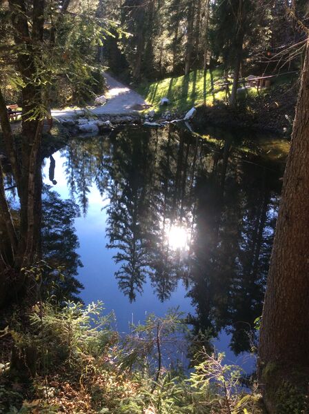 Datei:20171014 Sagtümpel.jpg