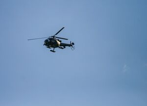 Alouette 3-18-2009-03-27.jpg