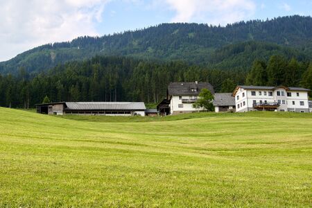 BH stritzlberger schattseite-0742-2023-06-16.jpg