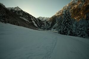 Bodensee 26460 2014-01-01.jpg