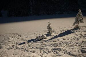 Bodensee 26495 2014-01-01.jpg