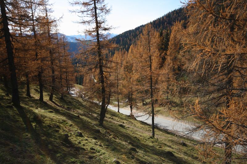 Datei:Dachsteinstrasse glösalm 11950 2015-11-04.jpg