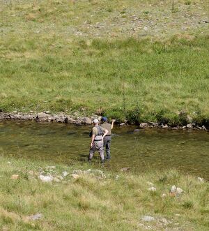 Fliegenfischer schwarzenseebach-0185-2025-07-02.jpg
