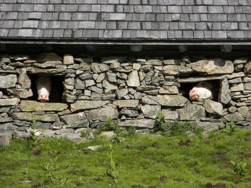 Datei:Giglach 2102 2006-07-10.jpg