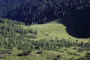 Gumpenkar 53199 2017-07-05.jpg