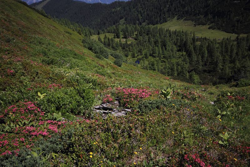 Datei:Gumpenkar 54478 2017-07-05.jpg