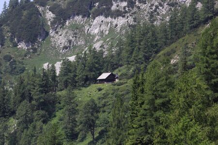 Jhtt traglam 51511 2017-06-24.jpg