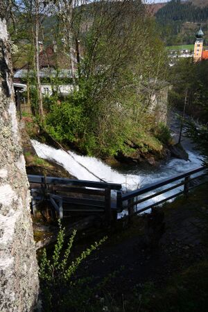 KW seebacher schladming 73007 2008-05-03.jpg