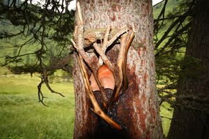 Knallkar großsölk 55667 2016-08-17.jpg