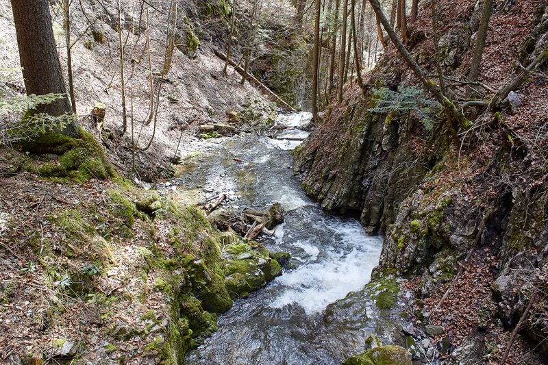 Datei:Mühlbach lessern-0171-2023-04-22.jpg