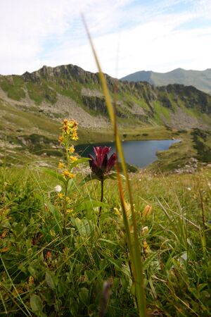 Mittlerer kaltenbachsee 27696 2010-08-11.jpg