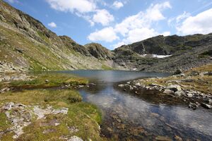 Rauenbergsee 2897 2009-08-19.jpg